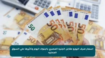 أسعار صرف اليورو مقابل الجنيه المصري بالبنوك اليوم وتأثيرها على السوق المحلية